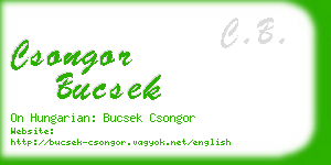 csongor bucsek business card